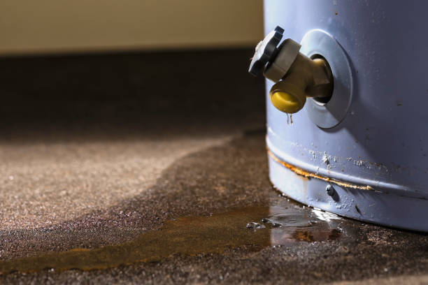 Best Mold removal after water damage  in Jamestown, NY