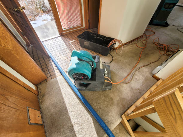 Best Sewage cleanup and water damage restoration  in Jamestown, NY