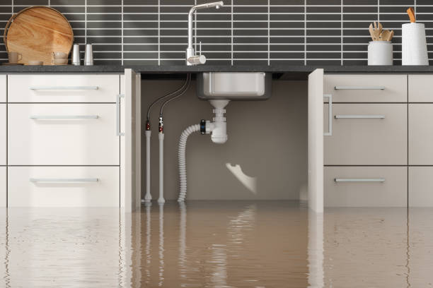 Best Water damage mitigation services  in Jamestown, NY