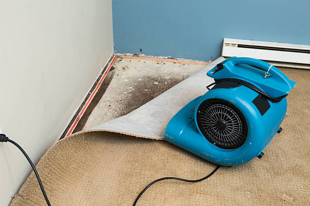 Best Flood damage cleanup  in Jamestown, NY